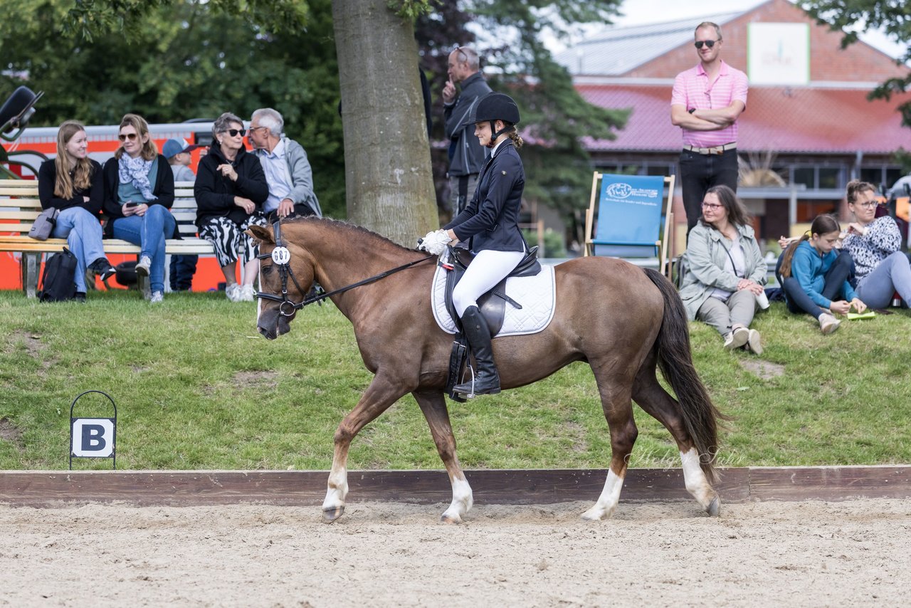 Bild 353 - Pony Akademie Turnier